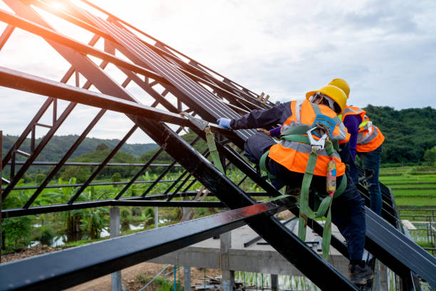 Professional Roofing Contractor in Mountain Brook, AL