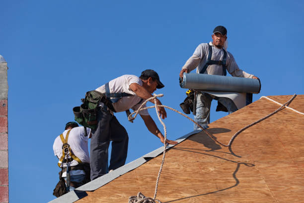 Professional Roofing Contractor in Mountain Brook, AL