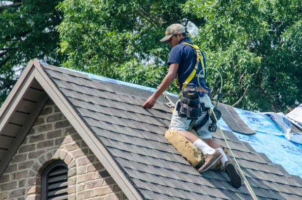 Best Roof Maintenance Services  in Mountain Brook, AL